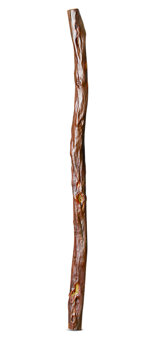 Heartland Didgeridoo (HD469)